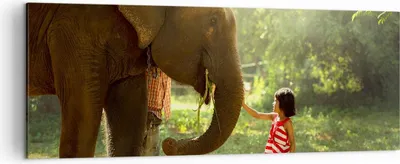 Produktbild von Bild auf Leinwand - Leinwandbild - Elefant Tier - 140x50cm - Wand Bild - Wanddeko - Wandbilder - Leinwanddruck - Bilder - Kunstdruck - Wanddekoration - Leinwand bilder - Wandkunst - AB140x50-3884