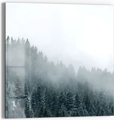Produktbild von DEQORI Glasbild Echtglas 30x30 cm 'Nebel über Baumwipfeln' Wandbild Bild modern Deko