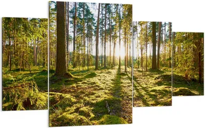Produktbild von Bild auf Leinwand - Leinwandbild - Wald Baum Natur - 160x90cm - Wand Bild - Wanddeko - Wandbilder - Leinwanddruck - Bilder - Kunstdruck - Wanddekoration - Leinwand bilder - Wandkunst - DL160x90-3724