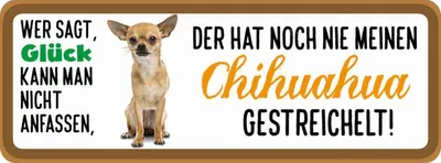 Produktbild von vianmo Holzschild 10x27 cm Chihuahua Hund gestreichelt Tier Haustier