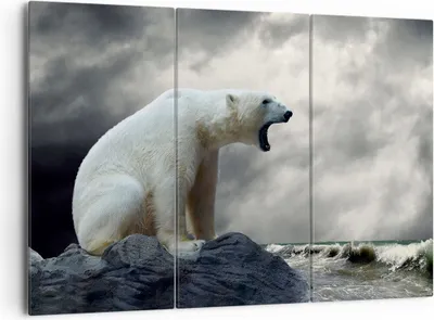 Produktbild von Bild auf Leinwand - Leinwandbild - Bär Tiere Wasser Eis - 165x110cm - Wand Bild - Wanddeko - Leinwanddruck - Bilder - Kunstdruck - Wanddekoration - Leinwand bilder - Wandkunst - CE165x110-2451