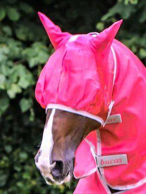 Produktbild von Bucas Freedom Fly Mask - Paradise Pink - Fliegenmaske