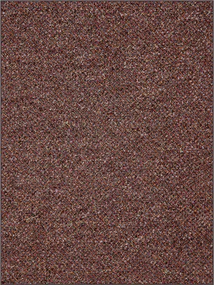 Obrázok produktu pre 200x300 cm Kusový koberec Bohemia terakota