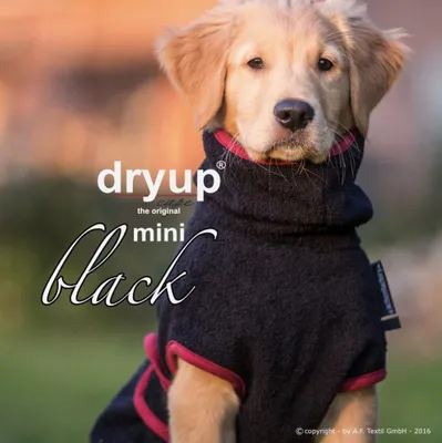 Produktbild von Dryup Cape Mini black 35 cm