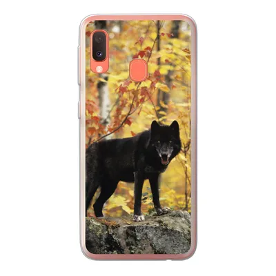 Produktbild von MuchoWow® Handyhülle Schutzhülle Hülle für Samsung Galaxy A20e Wolf - Fels - Baum Silikon Softcase Handy Hülle - Abdeckung