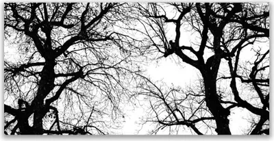 Produktbild von Tulup Leinwand-Bilder 140x70 Wandbild Canvas Kunstdruck Bäume Natur