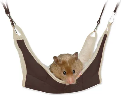 Produktbild von Trixie Hängematte für Mäuse/Hamster, 18 x 18 cm TX-62691