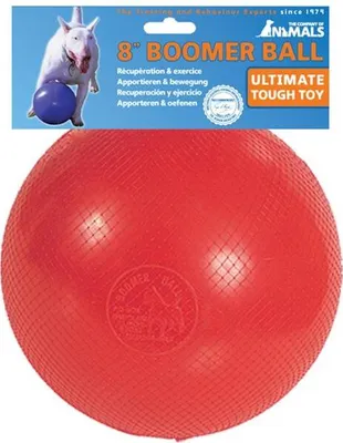 Immagine prodotto di Giocattolo per cani Company of Animals Boomer Blue 200 mm