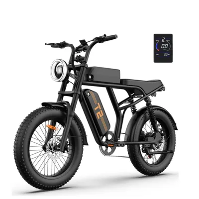 Produktbild von URLIFE T2 Elektrisches Fahrrad - Motor250W Batterie 48V 15.6Ah mit Scheibenbremse Trittunterstützung - Schwarz