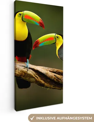 Produktbild von MuchoWow® - Leinwandbilder - Vögel - Tukan - Zweig - Tiere - Regenbogen, Wandbild, Wanddeko Bilder Wohnzimmer, 40x80cm