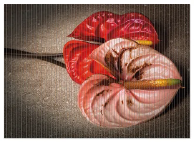 Produktbild von Wallario Duschmatte Antirutschmatte Badmatte Fußmatte Blüten einer Flamingoblume - Anthurie - auf schwarzem Marmor, Größe ca. 90 x 65 cm