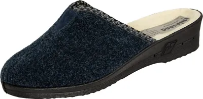 A single blue slipper is shown against a white background.