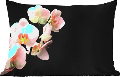 Produktbild von MuchoWow® Outdoor Kissen - Orchidee - Blumen - Rosa - Stilleben - Flora - 60x40 cm - Wetterfest - Lounge Kissen - Zierkissen - Kissen für Innenräume