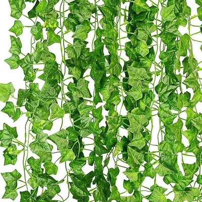 Immagine prodotto di Ghirlanda di edera sintetica, 12 pezzi da 2,1 m ciascuno