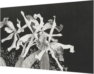 Produktbild von Wandtapete - Dekorative Tapete für Wohnzimmer- Tapetenfolie für Wanddekoration - 104x70 cm - Orchideenillustration