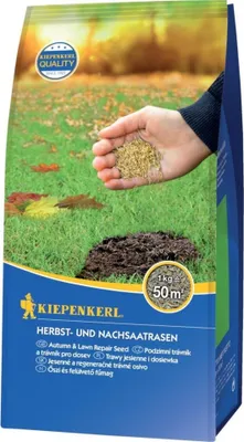 Produktbild von Kiepenkerl Herbst- und Nachsaatrasen 1 kg