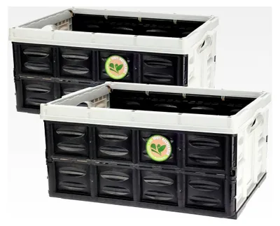 Produktbild von Klappbox 2er Set 45 Liter schwarz grau - 53 x 39 cm - Faltbox mit Tragegriffen - Klappbare Aufbewahrungs- und Transportbox