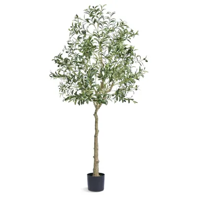 Zdjęcie produktu dla Sztuczne drzewko oliwne 81x81x179cm - Sztuczna roślina PE - Sztuczna roślina - Plastikowa roślina - Sztuczna roślina - Sztuczny kwiat - Bezzapachowy - Wodoodporny - Idealny do dekoracji sypialni, gabinetu, salonu
