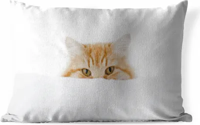 Produktbild von MuchoWow® Outdoor Kissen - Katze - Rot - Weiß - Mädchen - Jungen - Kind - 60x40 cm - Wetterfest - Lounge Kissen - Zierkissen - Kissen für Innenräume