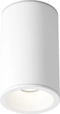 Obrázek produktu pro Stropní svítidlo Maytoni Technical Zoom Maytoni C029CL-01-S-W