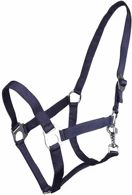 Produktbild von QHP Halfter Rutsche Blau - Cob