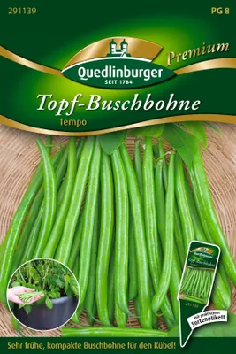 Produktbild von Quedlinburger Saatgut - Topf-Busch-Bohnen Tempo - Samen - 291139