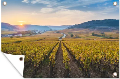 Produktbild von MuchoWow® 120x80 cm Outdoor-Poster Gartendeko Sichtschutz Garten Poster für den Garten  Weinberge in Burgund in Frankreich