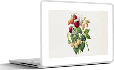 Produktbild von MuchoWow® Laptop Aufkleber Sticker Cover Erdbeere - Obst - Vintage 31x22.5 cm - Laptop-Deko