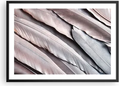 Produktbild von Gerahmtes Poster - Schwarzer Rahmen - Federn Flügel Feder - 70x50 cm - Wand Bild - Wanddeko - Wandbilder - Kunstposter - Wandposter - Bilderrahmen - Bilder - Kunstdruck - P2BAA70x50-5114