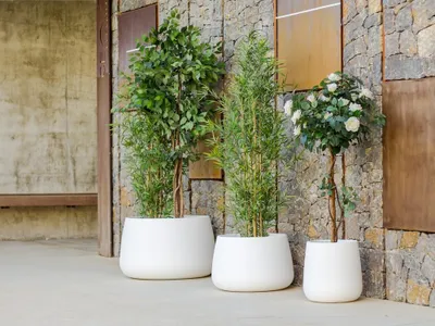 Produktbild von Newgarden CAMELIA 40 Pflanzkübel groß rund ø39x39cm weiss 33L außen