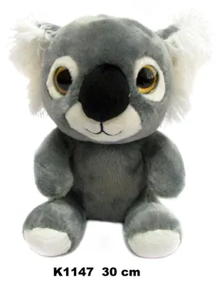 Obrázok produktu pre Koala K-1147 Koala K-1147 30cm 149985
