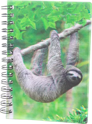Produktbild von 3D Notizbuch Faultier - klein