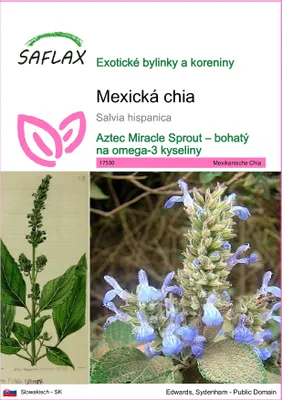 Obrázok produktu pre SAFLAX - Mexická chia - Salvia hispanica - 500 Semená