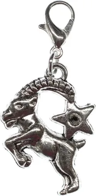 Produktbild von Steinbock Charm Miniblings Anhänger Bettelanhänger Stern Sternzeichen Horoskop