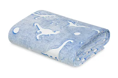 A folded blue blanket with white dinosaur patterns is shown against a white background.