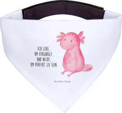 Produktbild von Mr. & Mrs. Panda Bandana Axolotl Niedlich - Weiß - Geschenk, Fröhlich, Freundin, Liebe, Halstuch Für Hunde, Dreieckstuch, Lebensweisheit, Weisheit, Hundehalstuch