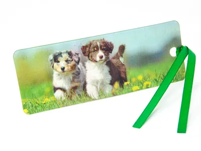 Produktbild von 3D-Lesezeichen - Hunde - 15,5 cm