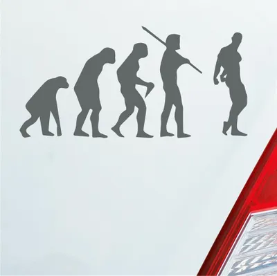 Produktbild von Auto Aufkleber Evolution Fitness Sport Bodybuilding 15x7,5 cm Grau Sticker Heckscheibenaufkleber
