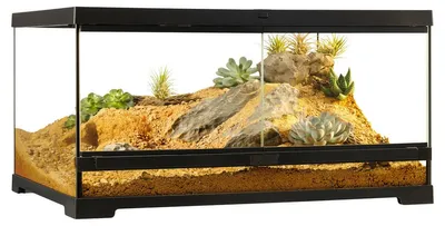 Immagine prodotto di Terrario Exo Terra EX-Pro Terrarium™ Medium Low 60 x 45 x 30 cm senza decorazioni, substrato e sistema di illuminazione