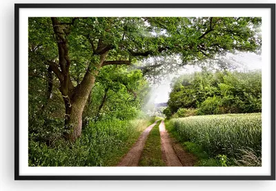 Produktbild von Gerahmtes Poster - Schwarzer Rahmen - Pfad Natur Wald Grün - 91,5x61 cm - Wand Bild - Wanddeko - Wandbilder - Kunstposter - Wandposter - Bilderrahmen - Bilder - Kunstdruck - Wandbild - P2BAA91x61-2637