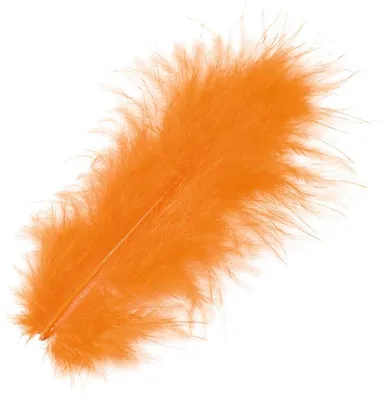 Produktbild von Marabufedern 10cm orange VE=10x15 Stück