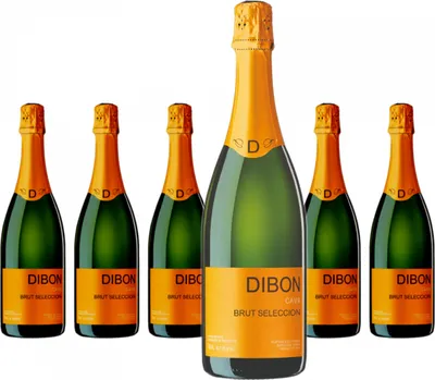 Produktbild von 6 x Pinord Dibón Brut Seleccion Cava