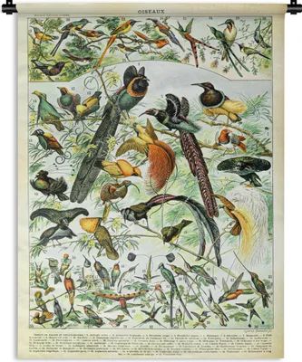 Produktbild von MuchoWow® Wandteppich Wandbehang Vögel - Tier - Natur 90x120 cm Tapisserie Dekoration Wandtuch - Wanddeko