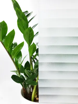 Produktbild von Statisch Fensterfolie 45x50 cm - Erika - Sichtschutzfolie Fenster Milchglas Design statisch haftend - Fensterfolie Blickdicht für Bad und Büro - Tageslicht genießen, Sichtschutz erhalten
