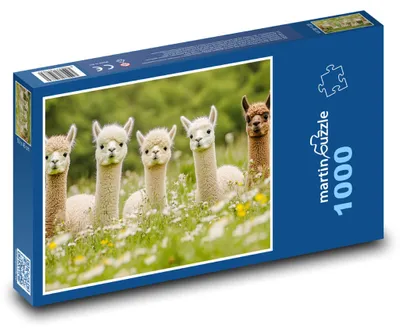 Obrázek produktu pro Puzzle 1000 Alpaky v rozkvetlé louce - martinpuzzle