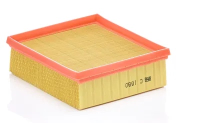 Immagine prodotto di Filtro aria MANN-FILTER C 1880