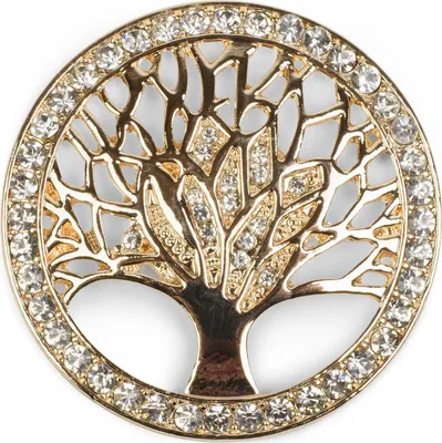 Produktbild von styleBREAKER Lebensbaum Magnet Schmuck Anhänger für Schals, Tücher oder Ponchos mit Stras Steinen, Brosche, Damen 05050029