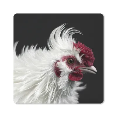 Produktbild von MuchoWow® Mauspad Mousepad Huhn - Vogel - Schwarz 20x20 cm - Mousepads - Maus Mat - Pad - Mausunterlage - Desk Mat - Bureauartikeln