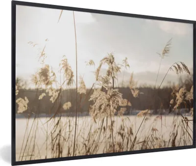 Produktbild von MuchoWow® Gerahmtes Poster Wasser - Pampasgras - Pflanzen 90x60 cm - Poster mit Schwarzem Bilderrahmen Wandposter Rahmen Foto Bilder - Fotorahmen - Foto-Plakat