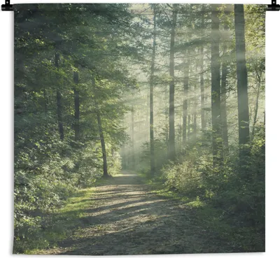 Produktbild von MuchoWow® Wandteppich Wandbehang Wald - Licht - Weg 60x60 cm Tapisserie Dekoration Wandtuch - Dekorationen - Wand Decke